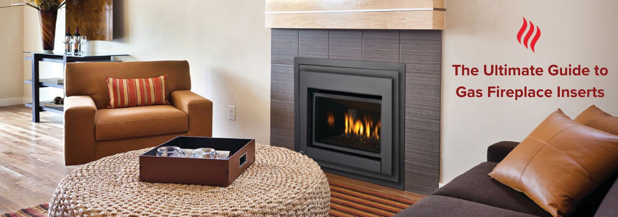 Regency-Gas-fireplace-insert-(2).jpg